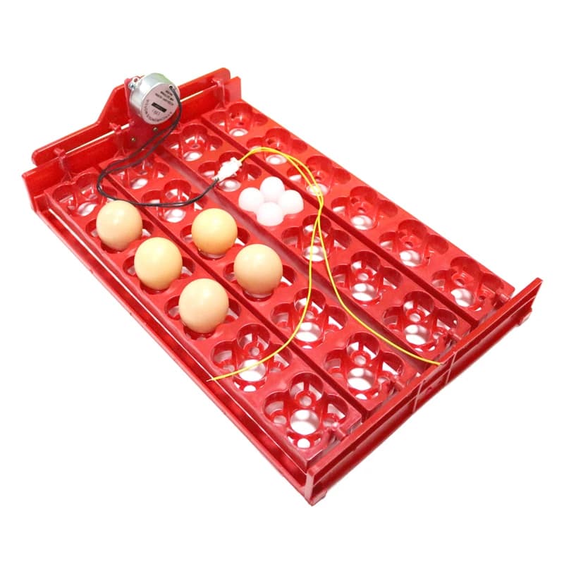 Bandeja para incubação de ovos de codorna, 24 ovos/96, motor 220v/110v/12v, equipamento para incubação de pássaros e frango, acessórios para