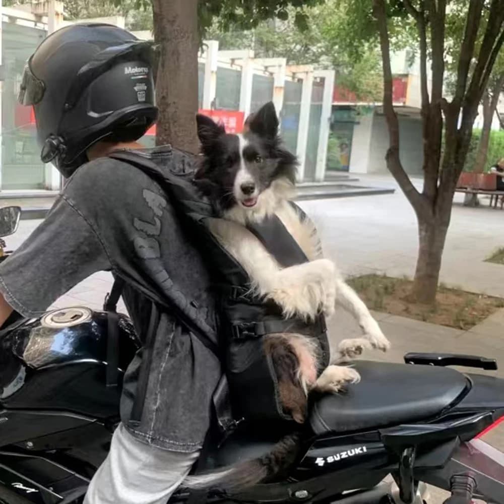 Mais novo animal de estimação sacos de transporte para cães pequenos e médios caminhadas ciclismo filhote de cachorro gato transportadora mochila