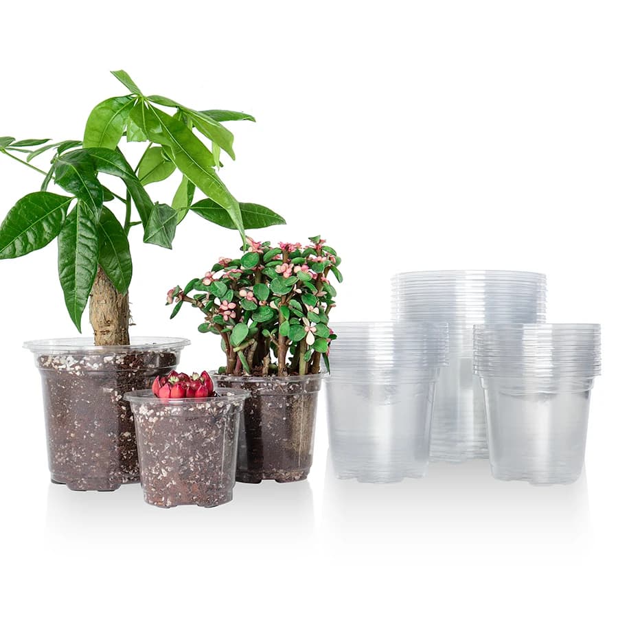 30 pacotes de vasos de berçário transparentes de 3.5/4/5 unidades, plantador de plástico transparente com furos de drenagem, vaso de partida de