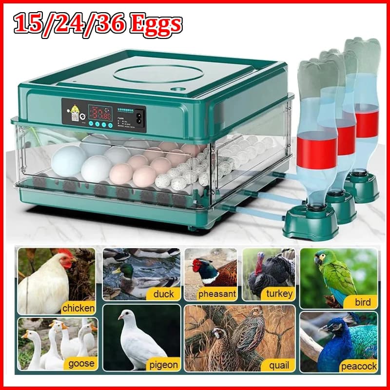 Incubadora de ovos 15/24/36 com tipo de gaveta, mini incubadora de ovos com reabastecimento automático de água iônica e controle de temperatura.