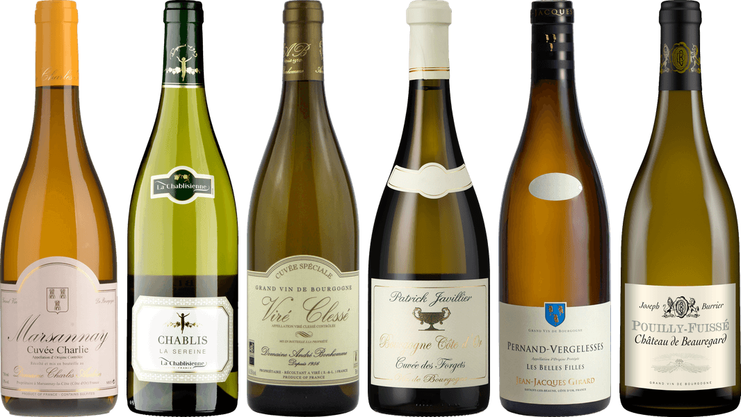 White Burgundy Tasting Case
