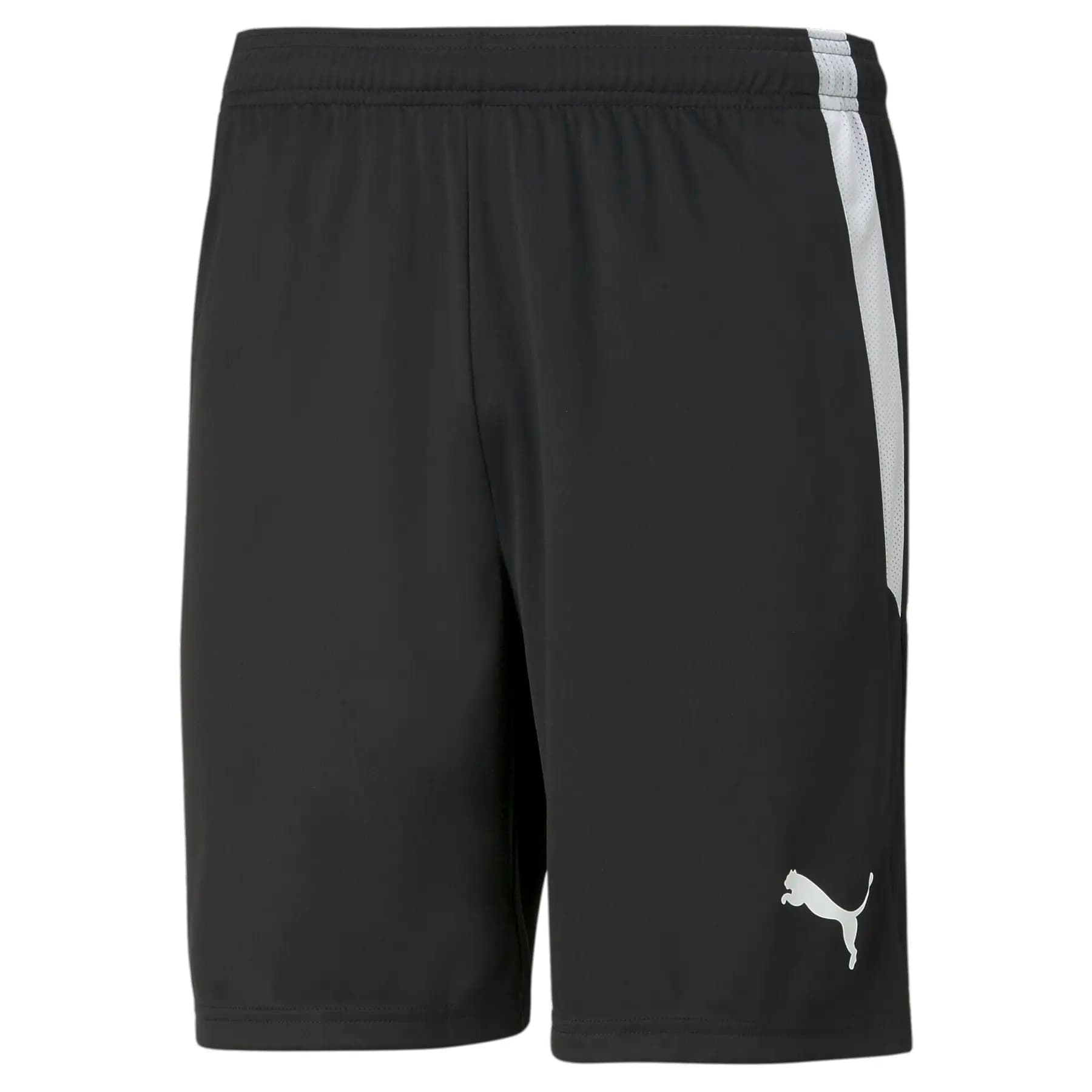 Calções Puma Team Liga