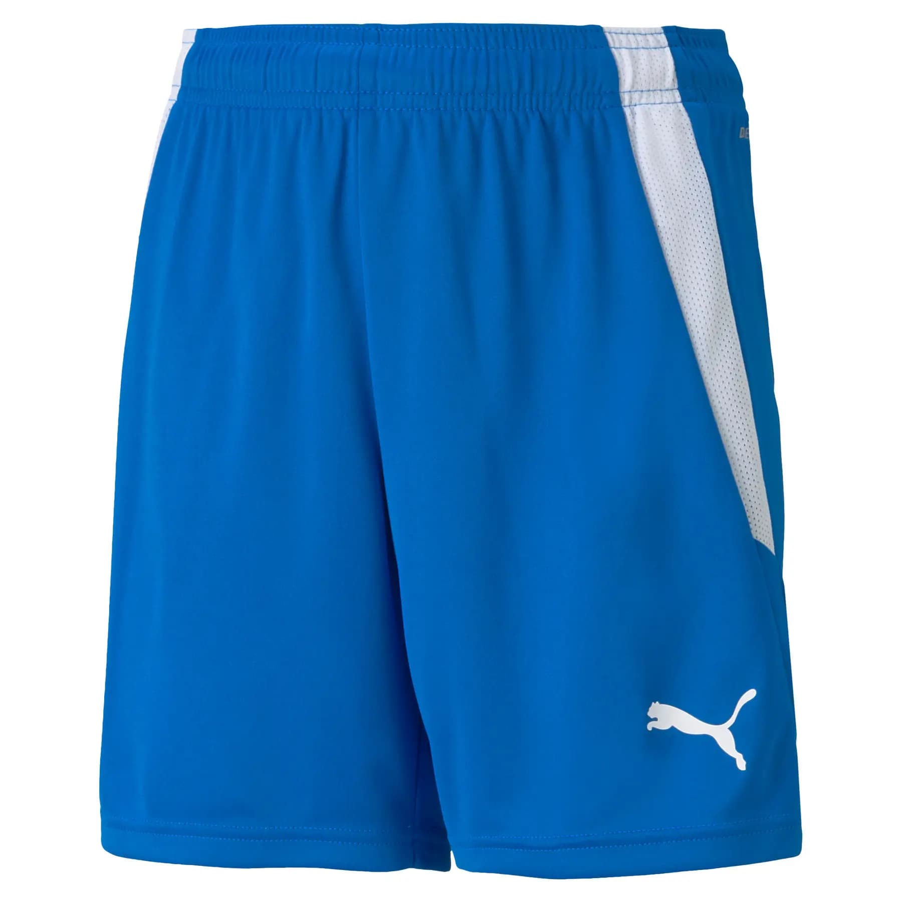 Calções criança Puma Team Liga