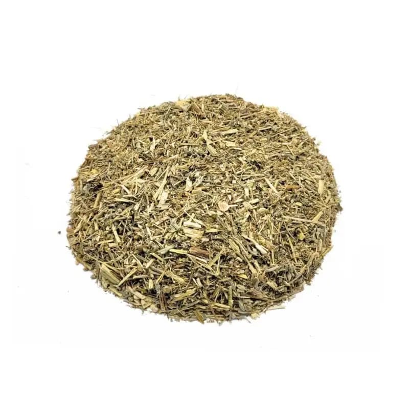 Losna Absinto, Planta (Artemisia absinthium L.)