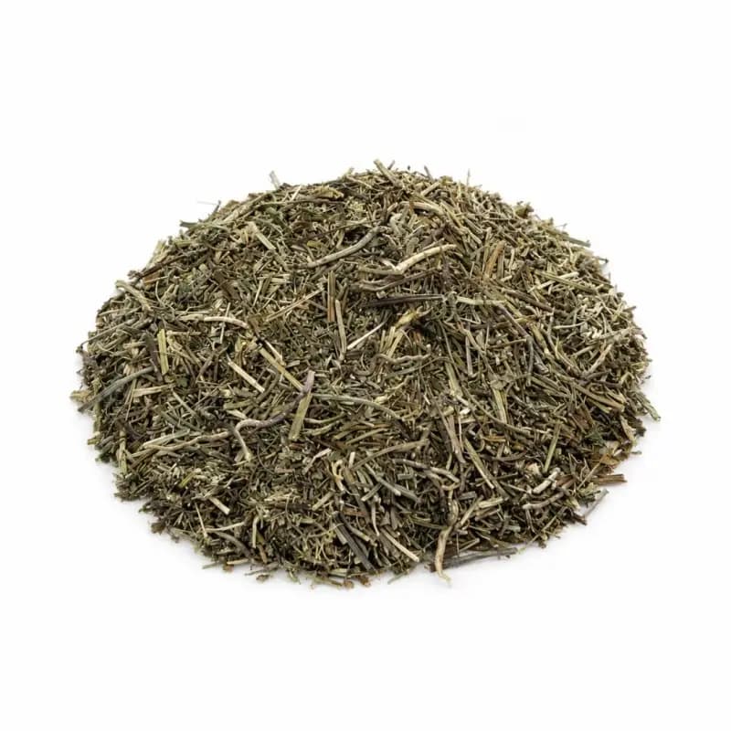 Crisântemo Americano, Planta (Chrysanthellum americanum L.)