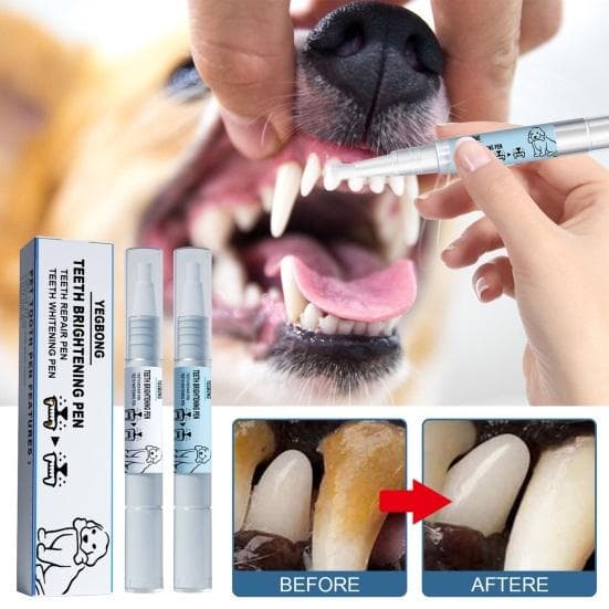 2 Unidades 3ML Caneta Limpadora de Dentes para Animais de Estimação Cães Gatos Removedor de Tártaro Pet Natural