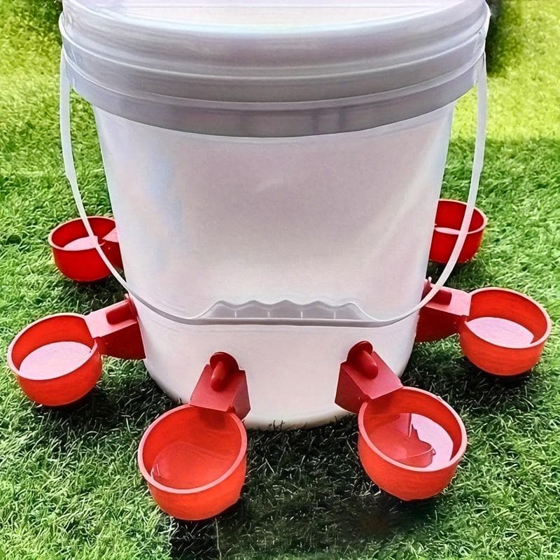Bebedouro de Frango Água Potável Codorna Aves Dispensador Automático de Água Pato e Pombo Frango de Criação Livre