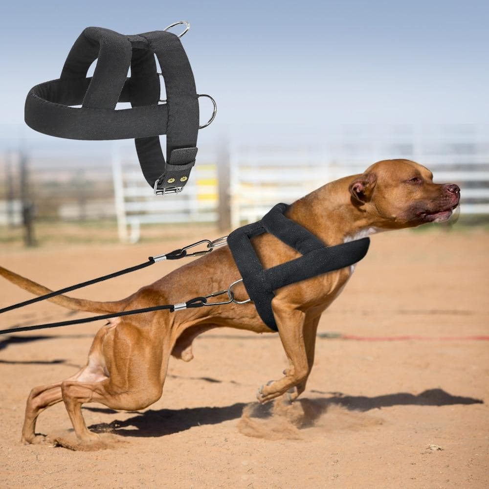 Arnês para puxar peso para cães, arnês macio e acolchoado para treinamento de cães grandes e grandes, produtos para agilidade de animais de