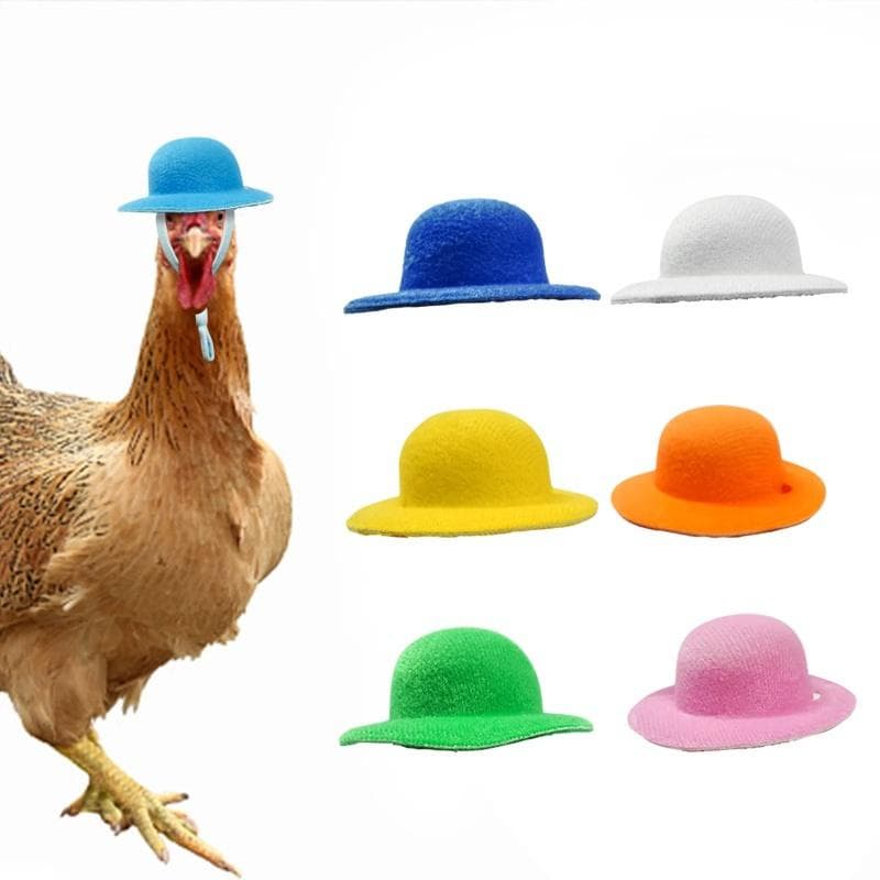 Novo chapéu de galinha para galinhas, pequenos animais de estimação, acessórios engraçados para galinhas, chapéu alto para galinhas, galo, pato,
