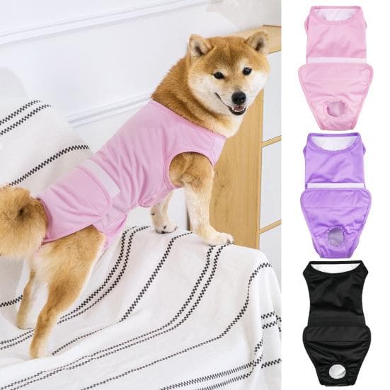 Roupas de recuperação para animais de estimação, confortável, respirável, ajustável, cirurgia para cães, traje de recuperação, proteção