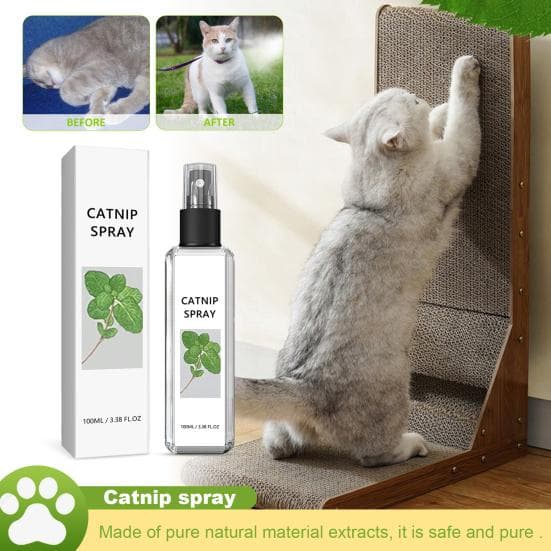 Spray de erva-de-gato 100ML alivia a ansiedade, spray de treinamento para gatos, spray natural seguro para cuidados com a saúde, suprimentos para