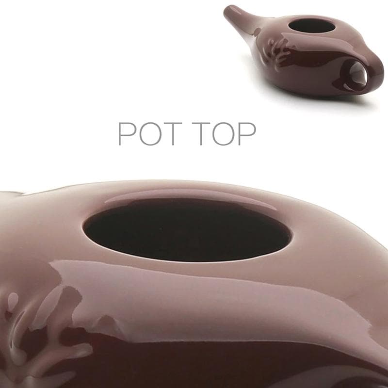 250ml Pote Neti de Cerâmica Sistema de Lavagem Nasal Limpador Kit de Lavagem Nasal Para Sinusite Rinite Alergia Yoga Nasal Desintoxicação Enxágue