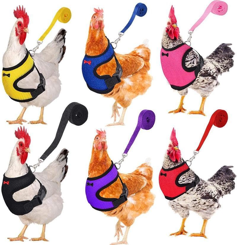 Coleira ajustável para frango, confortável e respirável, tamanho pequeno, colete para animais de estimação, para frango, pato, ganso,