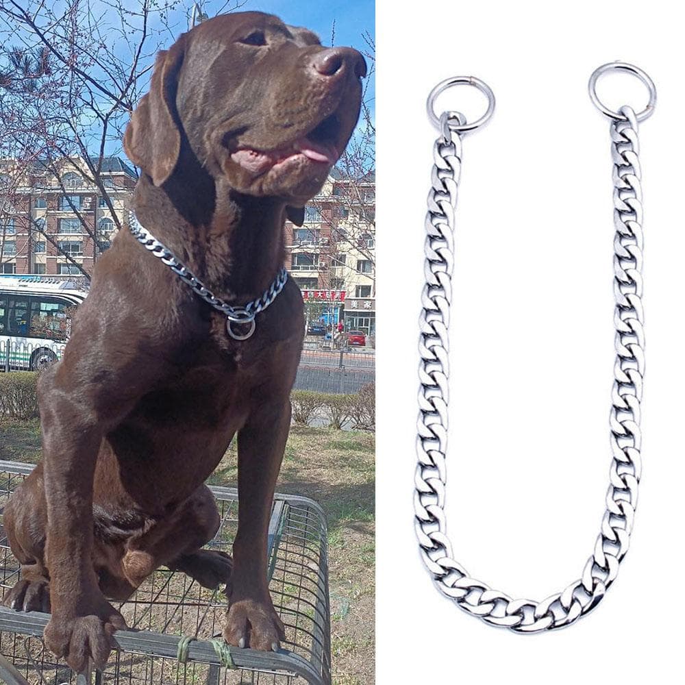 Coleira de Corrente Marítima de Aço Inoxidável Para Cão Ajustável Acessórios Para Animais de Estimação Coleira de Pinça Plana Para Cão Para