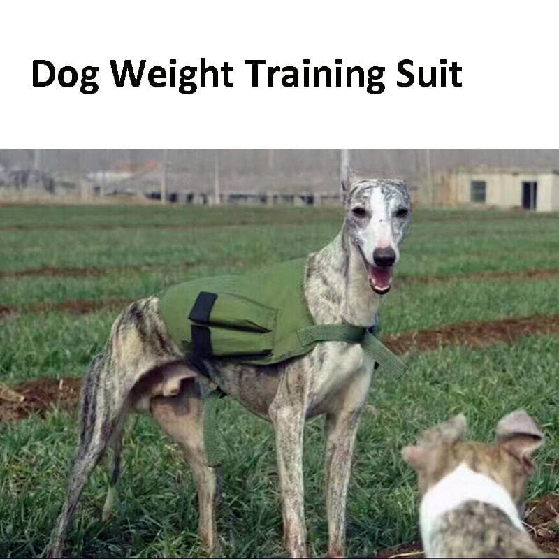 Dog Weighted Vest for Weight Pulling Training for Gree/Greyhound/Whippet/ Horse Dog Weight Training Suits Enhance Dog Endurance