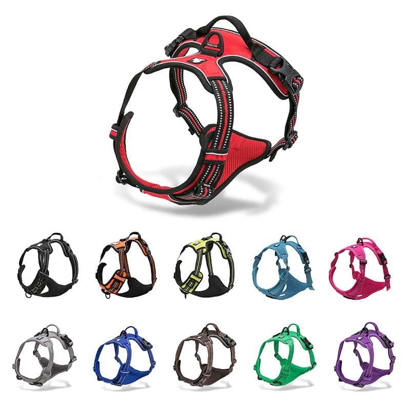 Coleira para Cães Truelove Refletiva de Nylon para Cães Grandes Todas as Estações Acolchoada Ajustável Segurança Guia Veicular para Cão TLH5651