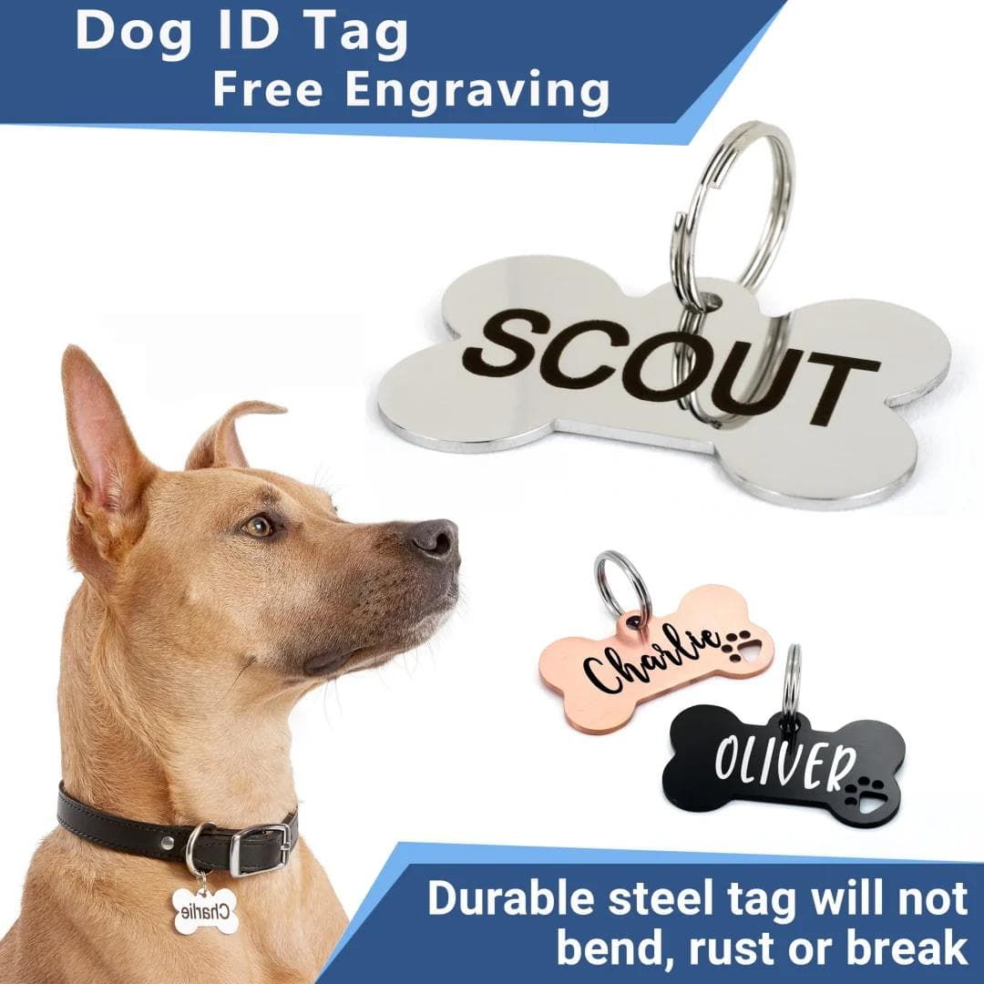 Etiquetas de identificação personalizadas para cães, anéis anti-perda de aço inoxidável, etiquetas para animais de estimação ouro