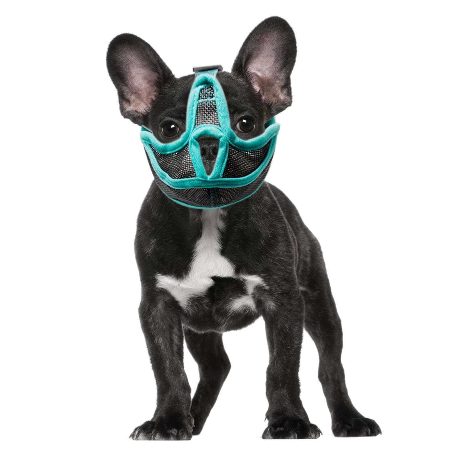 Focinheira de Malha para Cães de Focinho Curto Ajustável Respirável Anti Mordida Focinheira de Focinho Curto para Bulldogs para Cães Focinheira de