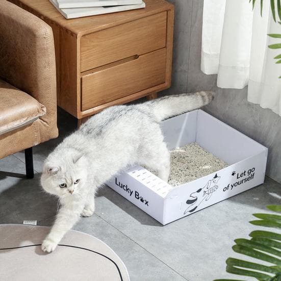 Grande caixa de areia dobrável para gatos, à prova de respingos, de alta capacidade, ideal para viagens, suprimentos de caixa de areia para gatos