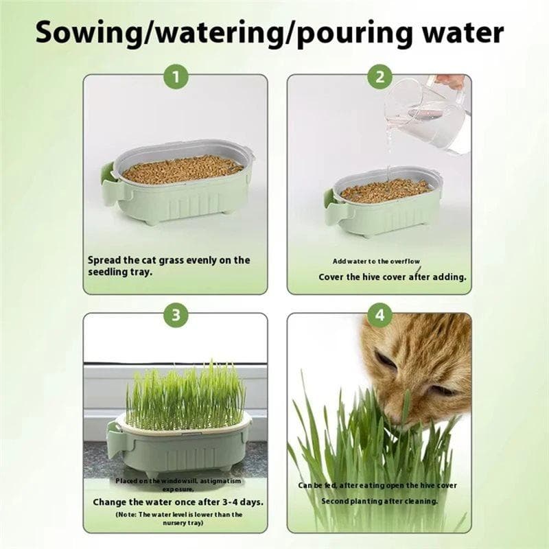 Kit de Vaso Orgânico para Grama de Gato Alívio de Bolas de Pelo Auxílio Digestivo Natural Cultive Sua Própria Tigela de Grama de Gato