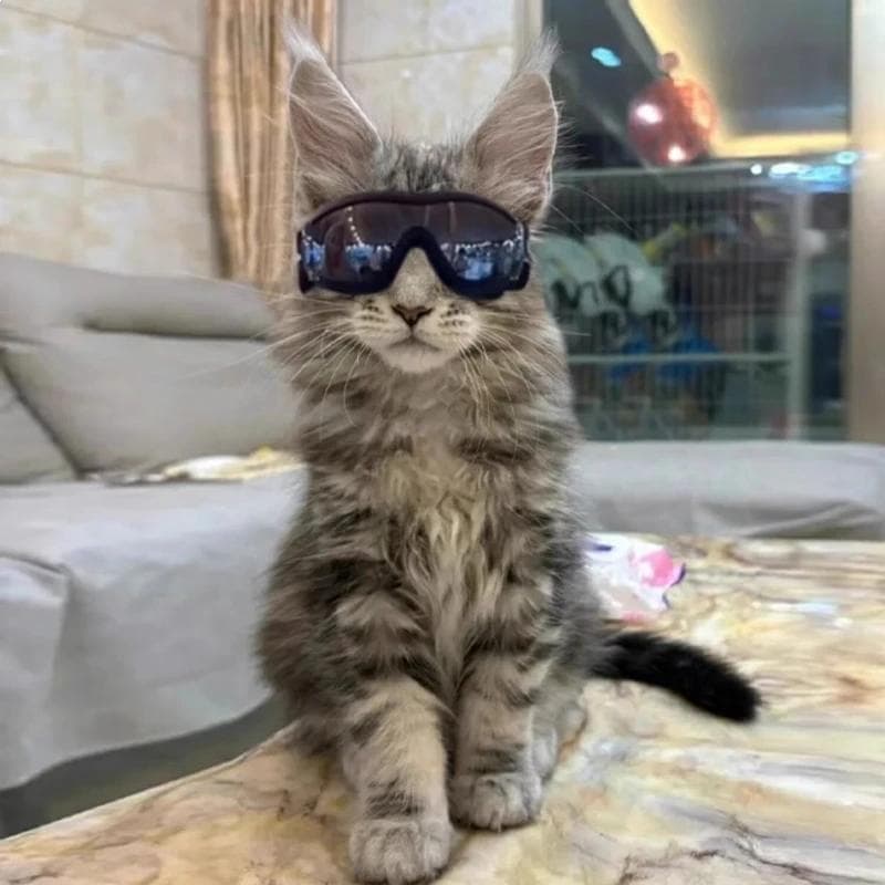 Óculos de sol para cães de raças pequenas Óculos de sol UV para cães À prova de vento Armação macia Alças ajustáveis para cães