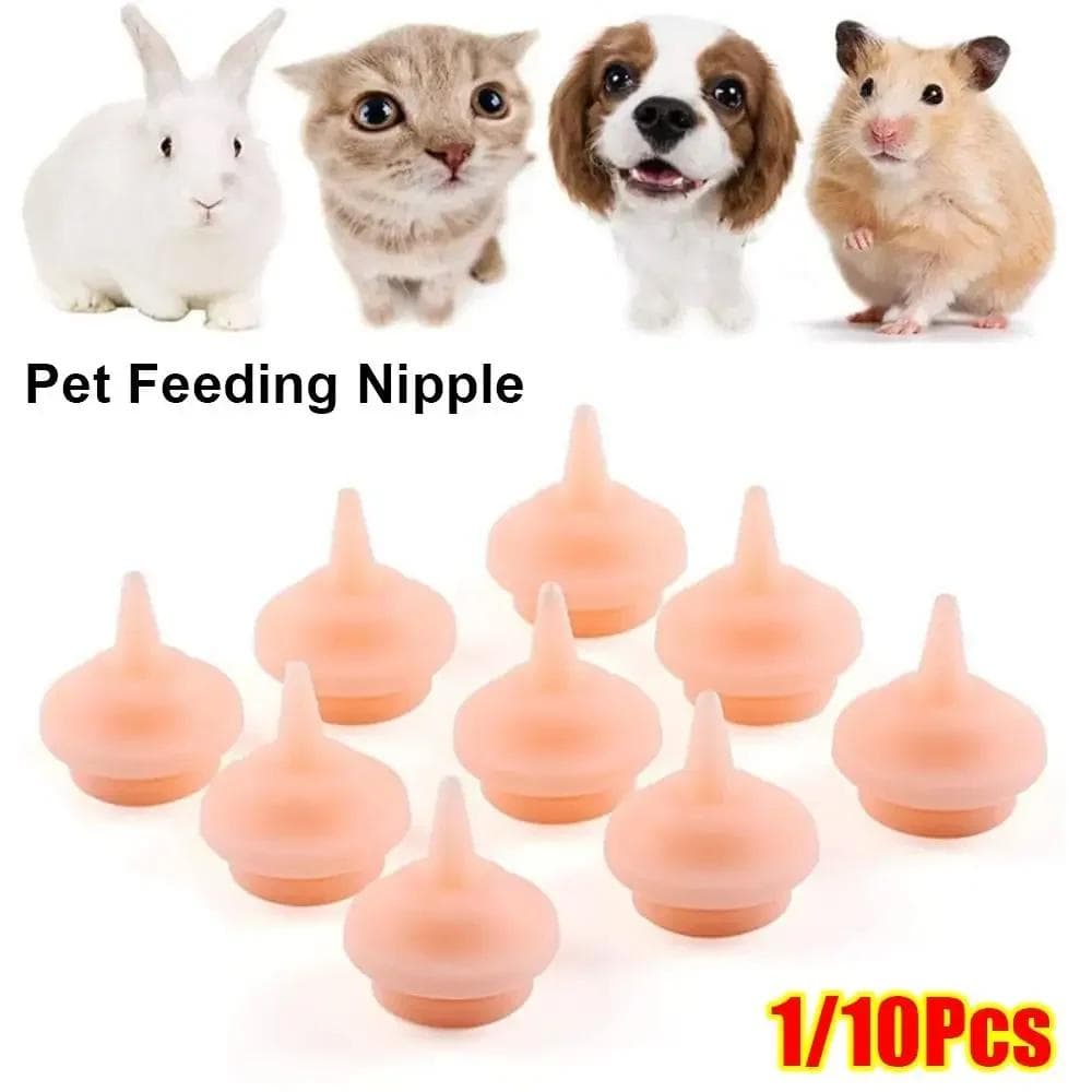 1/10 Peças Tamanho P/G Bico Alimentador Pet Silicone Chupeta Alimentadora Animais Pequenos Gatinho Filhote Bico Alimentador Animais Pequenos