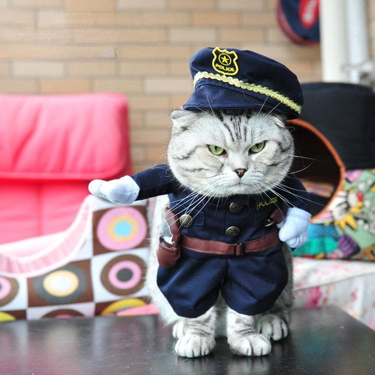Halloween natal suprimentos para animais de estimação roupas para cães vertical pirata traje roupas para cães polícia médico em pé traje
