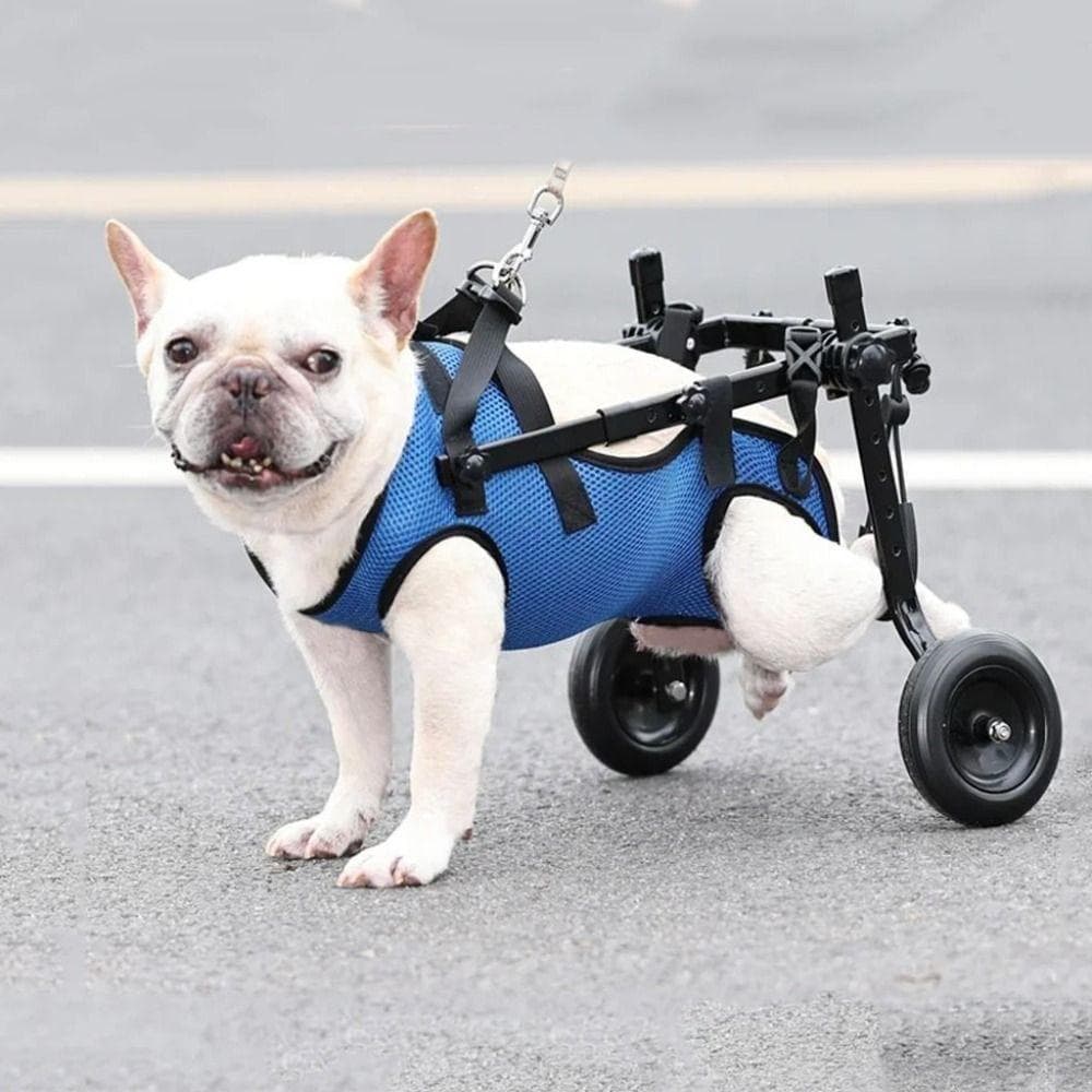 Rodas de Caminhada Carrinho Cadeira de Rodas para Cães Suporte Durável para Patas Traseiras de Animais de Estimação Cão com Deficiência
