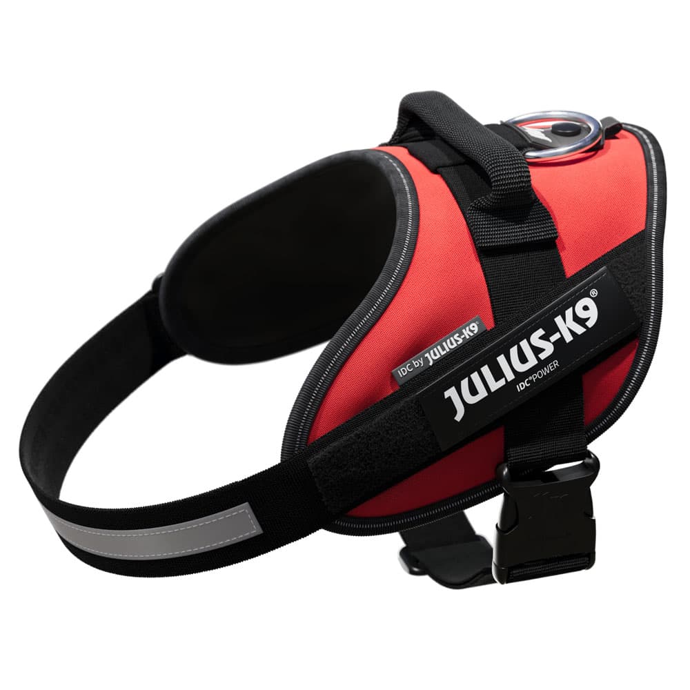 Peitoral JULIUS-K9 IDC® Power vermelho para cães - Tamanho M: contorno peito 58 cm-76 cm