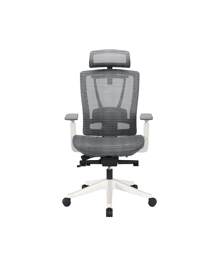 Silla Ergonómica BS14 de Cuidado Dinámico Profesional