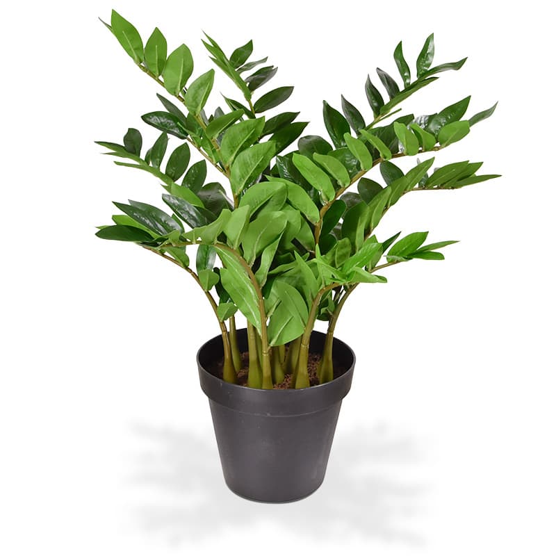 Planta artificial Zamioculcas 70cm