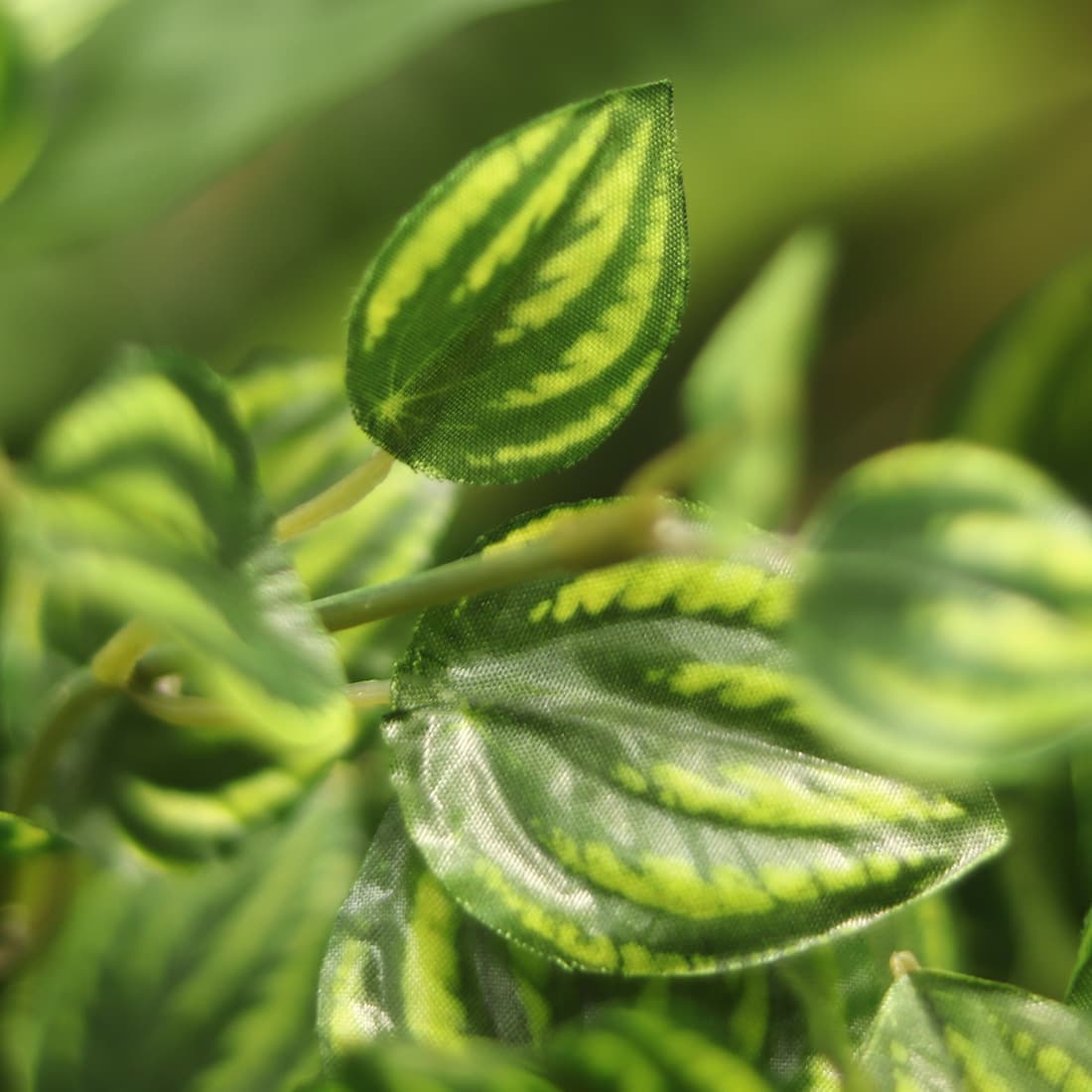 Peperomia Planta suspensa artificial variegada 50cm
