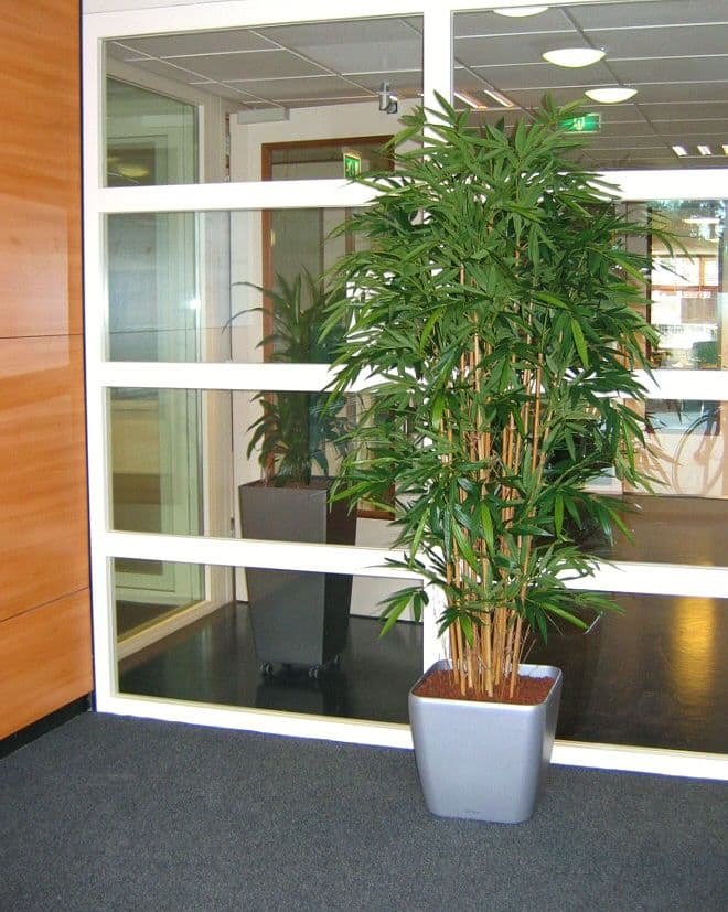 Árvore artificial de luxo de bambu 210cm