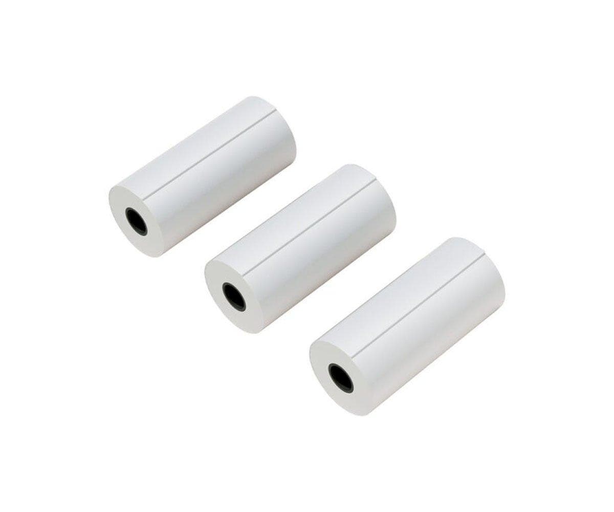 Conjunto de 3 rolos de papel Zoo