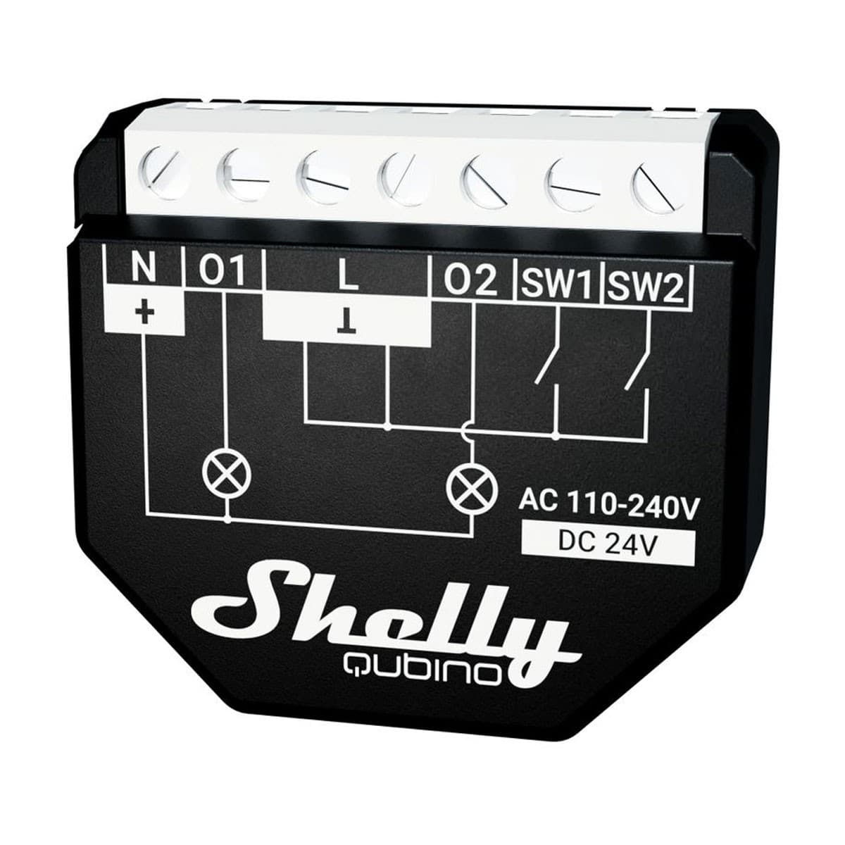 Shelly Qubino Wave 2PM