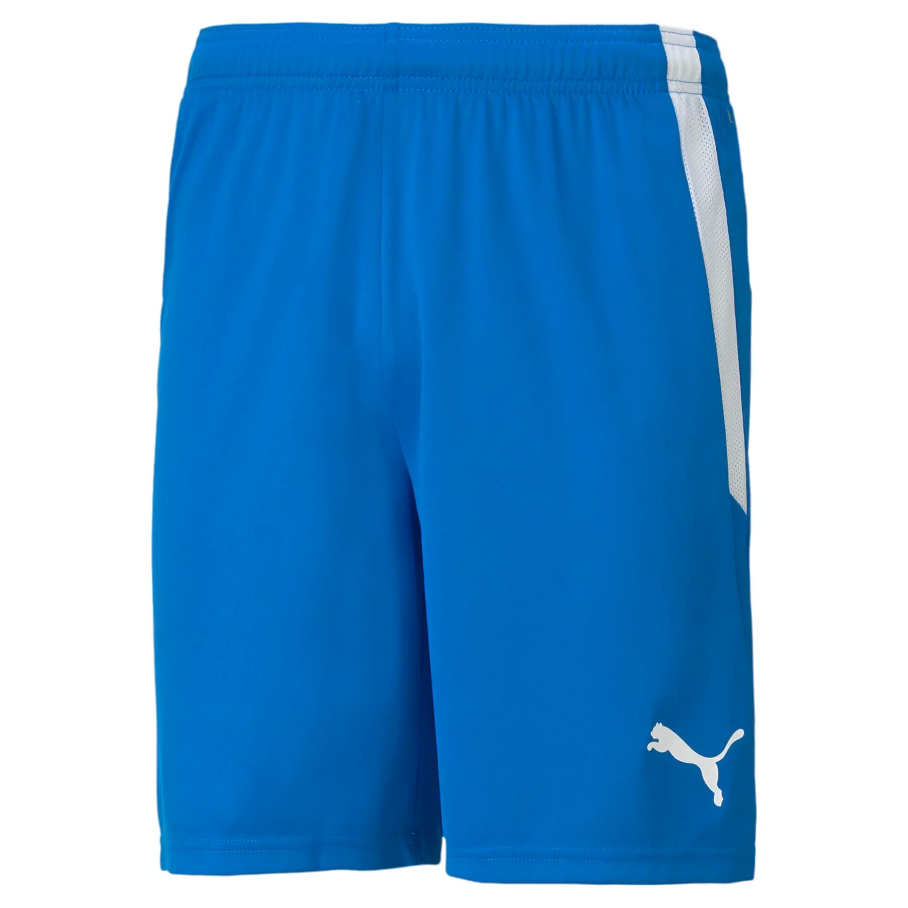 Calções Puma Team Liga