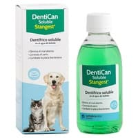 Dentican solúvel - creme dental solúvel para animais de estimação 250 ml - Stangest