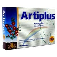 Artiplus 90 comprimidos - Robis