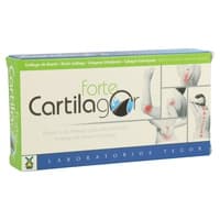 Cartilagor Forte 40 cápsulas - Tegor