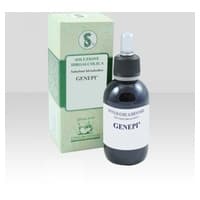 Genepi '(Artemisia Glacialis) 60 ml - Sarandrea Marco
