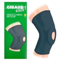 Ligamentos do Joelho Artigib 5 1 unidade - Gibaud