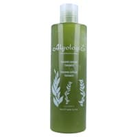3 x Fixador Capilar Tratamento 300 ml - Algologie