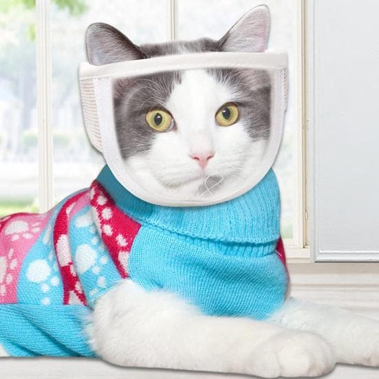 Focinho para animais de estimação anti-mordida ajustável respirável anti-arranhões pequeno animal de estimação transparente focinho suprimentos