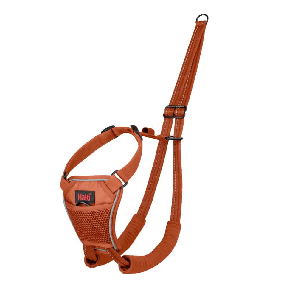 Halti Harness No Pull arnês de treino - Laranja, tamanho L: Dogue Alemão, Rottweiler