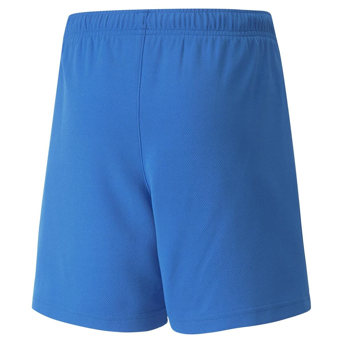 Shorts / Bermudas Puma TEAMRISE SHORT