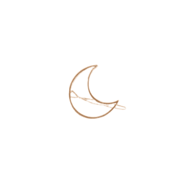 MsBlossom - Wirework Hair Clip - 1pc - Moon