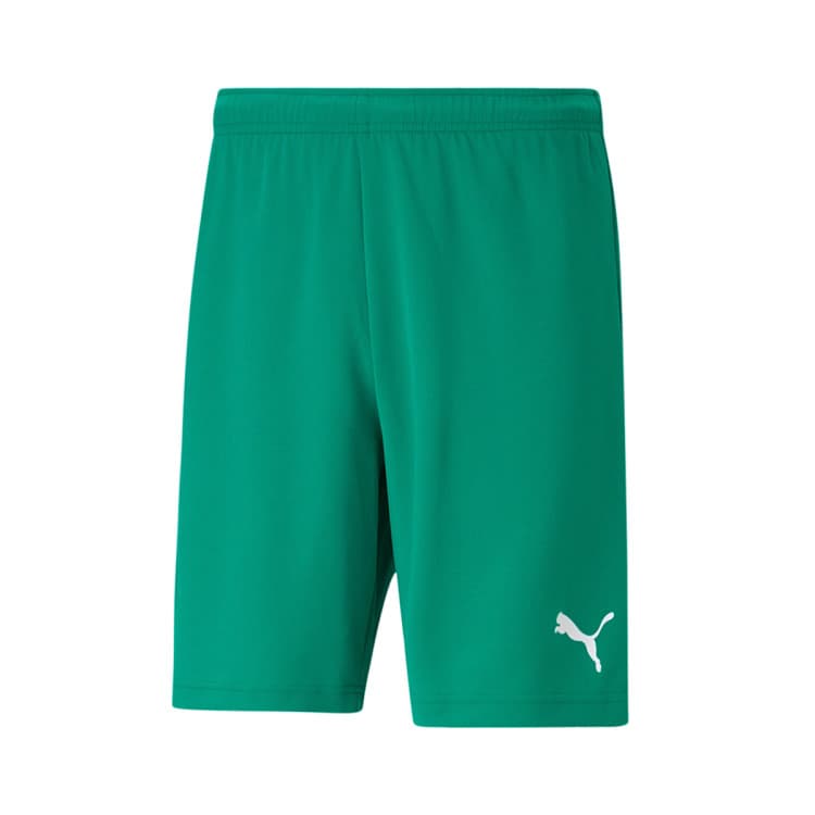 Puma teamRISE