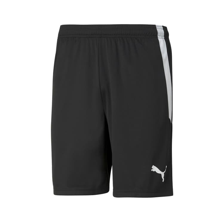 Puma teamLIGA