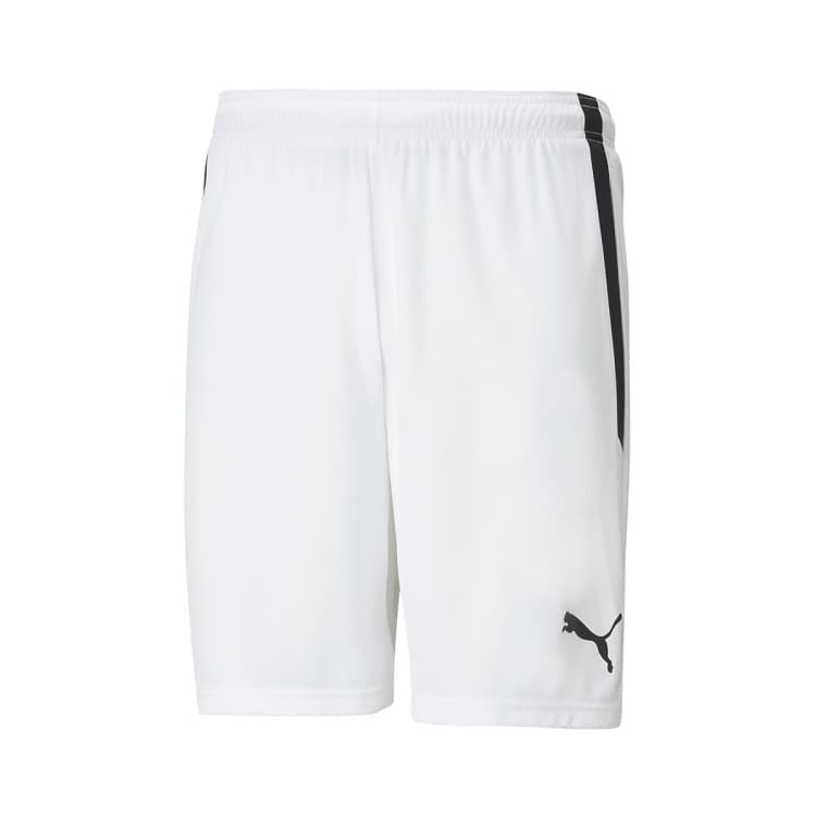 Puma teamLIGA