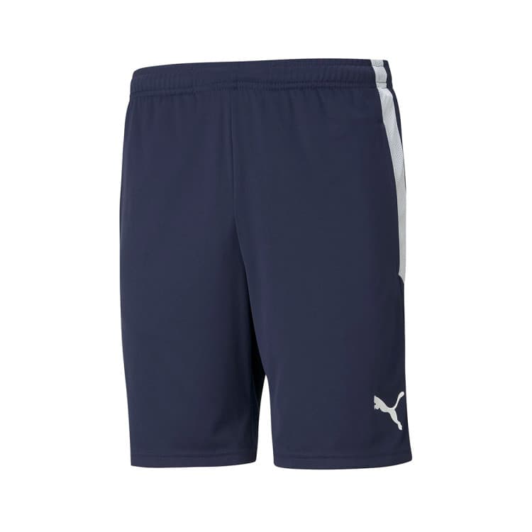 Puma teamLIGA Training